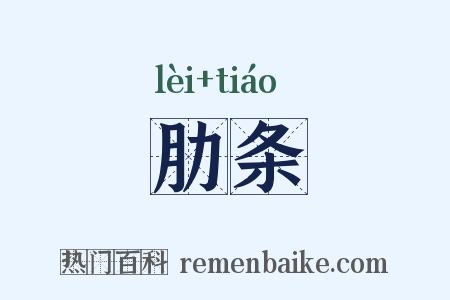 肋条是什么意思的图片